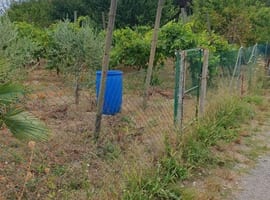 TERRENO AGRICOLO VENDITA
